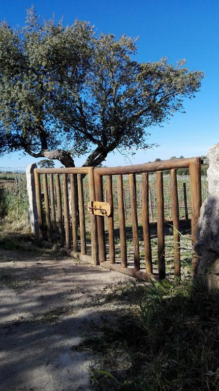Agriturismo B&B Domo De Resteblas Berchidda Ngoại thất bức ảnh
