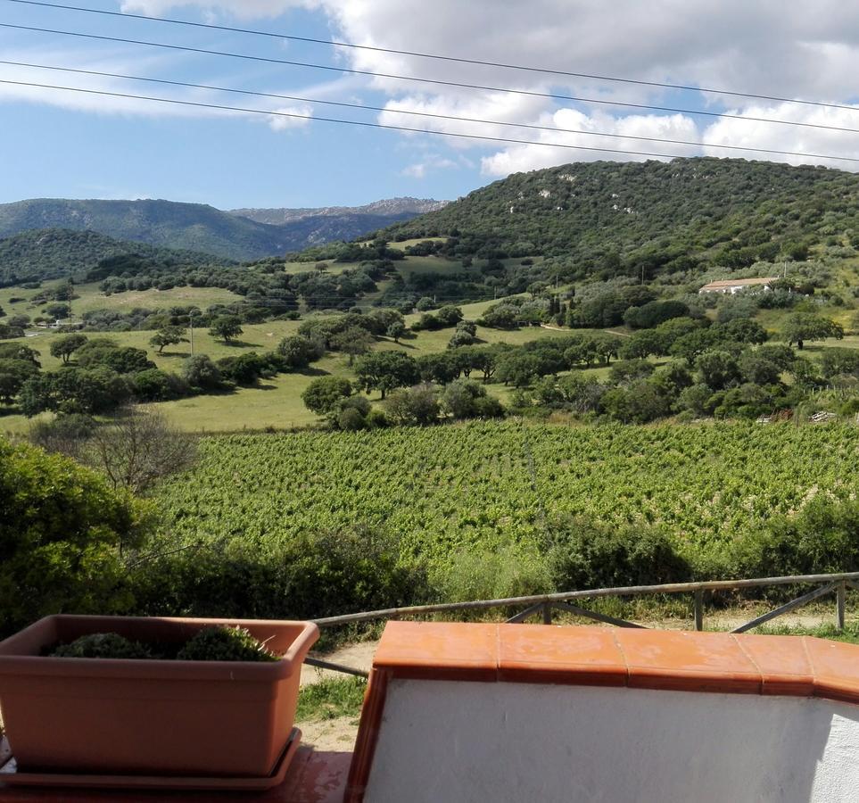 Agriturismo B&B Domo De Resteblas Berchidda Ngoại thất bức ảnh